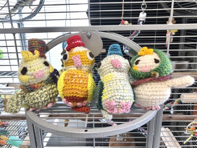 あみぐるみ　インコ